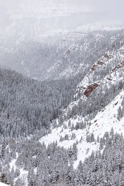 Snöig Vinterscen Efter Nyfallen Snö Berget Nära Basalt Och Aspen Stockfoto