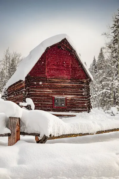 Snötäckt Övergiven Röd Lada Snöig Vintereftermiddag Med Fallande Snö Luften Stockbild