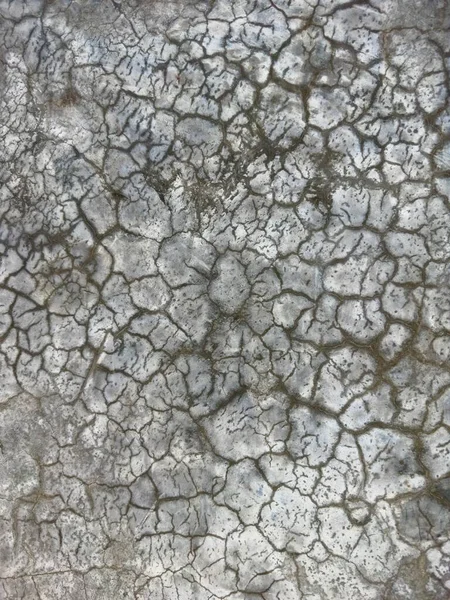 Cracks Sul Pavimento Del Vecchio Muro Cemento Oltre Cento Anni — Foto Stock
