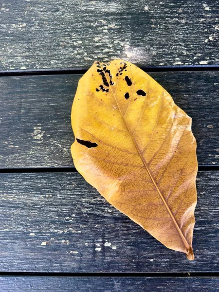 Желтые Листья Старой Текстуре Дерева Заднем Плане — стоковое фото