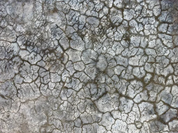 Трещины Полу Старой Цементной Стены Ста Лет — стоковое фото