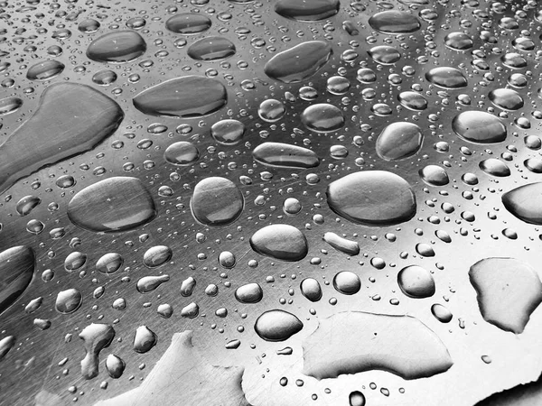 Pure Water Droplets Light Gray Background — Stock Photo, Image