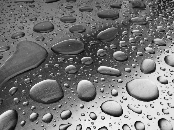 Pure Water Droplets Light Gray Background — Stock Photo, Image