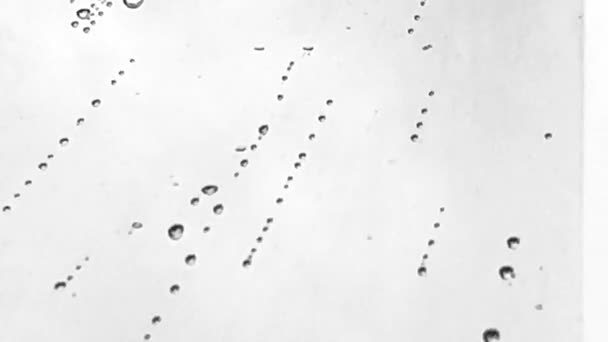 Waterdruppels Het Glasoppervlak Tijdens Het Regenen — Stockvideo
