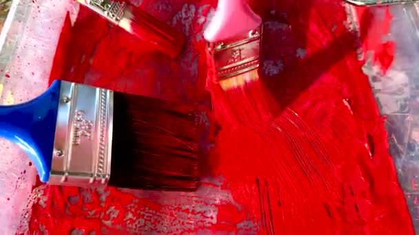 Pintura Pincéis Rolos Bandejas Pintura Vermelha Artista — Vídeo de Stock