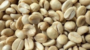 4K (Kahve maddesi) Tayland Arabika ve Robusta ev yapımı yeşil kahve çekirdeği pişirme işlemi için tamamen yıkandı