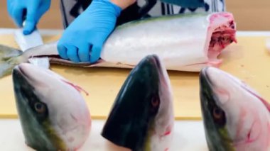 4K Şef ustalıkla Hamachi filetosu yapıyor. Balık kafası önünde görünüyor. Müşterilere servis yapmak için balığı kesme tahtasıyla kesiyor..