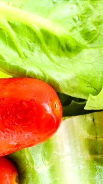 İnce dilimlenmiş havuç, kiraz domatesleri, dilimlenmiş kırmızı domates, yeşil (muhtemelen romaine marulu) ve dilimlenmiş sarı dolma biberli parlak ve taze bir salata. Dokuları çok farklı..