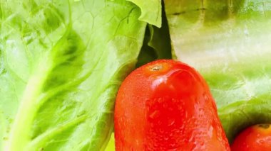 İnce dilimlenmiş havuç, kiraz domatesleri, dilimlenmiş kırmızı domates, yeşil (muhtemelen romaine marulu) ve dilimlenmiş sarı dolma biberli parlak ve taze bir salata. Dokuları çok farklı..