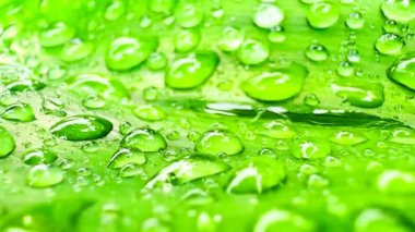 Yeşil bir yüzeye yakın çekim su damlaları, muhtemelen bir yaprak. Su damlalarının boyutları küçük damlacıklardan büyük damlacıklara kadar değişir. Bu da aşağıdaki yaprağın yeşil rengini yansıtır..