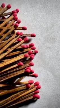 4K arılar mor nilüfer çiçeklerinde nektar arıyorlar..