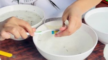 Çalışanlar kırlangıcın yuvasını temizler..