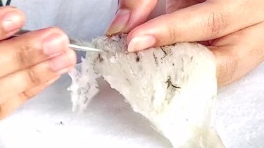 Çalışanlar kırlangıcın yuvasını temizler..
