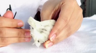 Çalışanlar kırlangıcın yuvasını temizler..