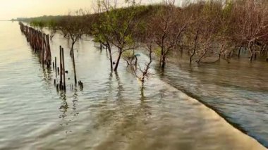 Bu çarpıcı yüksek çözünürlüklü video Güneş 'i yakından yakalar, yoğun kırmızı, portakal ve sarıları gösterir. Güneş, karanlık gökyüzünde büyük bir küre olarak belirir. 