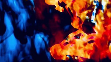 Suya renkli mürekkeplerle akan canlı renklere sahip soyut video. Kompozisyon mavi, kırmızı, yeşil ve sarı tonlarından oluşur. Hafif bir arkaplanda harmanlanır ve kıvrılır.