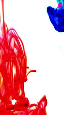 Suya renkli mürekkeplerle akan canlı renklere sahip soyut video. Kompozisyon mavi, kırmızı, yeşil ve sarı tonlarından oluşur. Hafif bir arkaplanda harmanlanır ve kıvrılır.