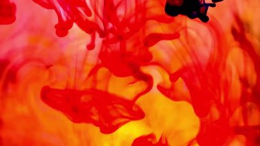 Suya renkli mürekkeplerle akan canlı renklere sahip soyut video. Kompozisyon mavi, kırmızı, yeşil ve sarı tonlarından oluşur. Hafif bir arkaplanda harmanlanır ve kıvrılır.