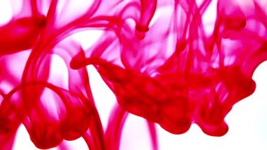 Suya renkli mürekkeplerle akan canlı renklere sahip soyut video. Kompozisyon mavi, kırmızı, yeşil ve sarı tonlarından oluşur. Hafif bir arkaplanda harmanlanır ve kıvrılır.