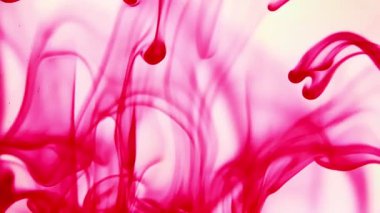 Suya renkli mürekkeplerle akan canlı renklere sahip soyut video. Kompozisyon mavi, kırmızı, yeşil ve sarı tonlarından oluşur. Hafif bir arkaplanda harmanlanır ve kıvrılır.