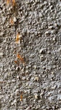 Beton ya da kaya gibi sert bir yüzey üzerinde göç eden kırmızı ya da turuncu-kırmızı karınca grubunun yakın çekim videosu. Bu görüntü hareket halindeki karıncaları yakalar, bu da bazılarını biraz bulanık gösterir..