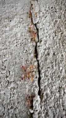 Beton ya da kaya gibi sert bir yüzey üzerinde göç eden kırmızı ya da turuncu-kırmızı karınca grubunun yakın çekim videosu. Bu görüntü hareket halindeki karıncaları yakalar, bu da bazılarını biraz bulanık gösterir..