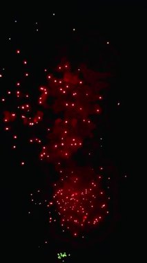 4 bin. Gerçek havai fişeklerin kusursuz döngü arka planında gece gökyüzünde Bokeh ışıkları olan altın havai fişekler. Parlak havai fişek gösterisi. Yeni yıl arifesinde havai fişekler gökyüzünde çeşitli renkleri kutluyor