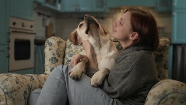 Жінка Обіймає Собаку Вдома Пес Лабрадор Його Власник Розважаються Сидячи — стокове відео