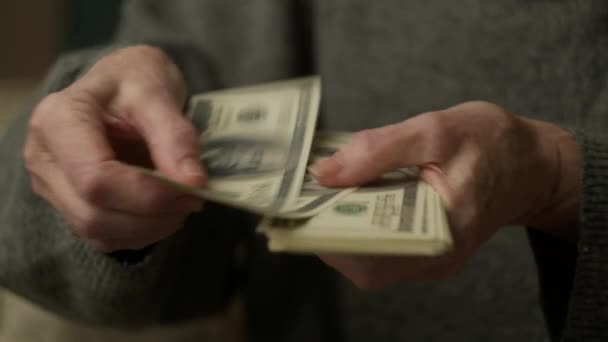 Senior Hands Counting Money Elderly Woman Counts Dollars Close — Vídeo de Stock