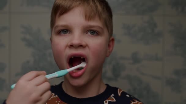 Boy Brushing His Teeth Looking Camera — Vídeo de Stock