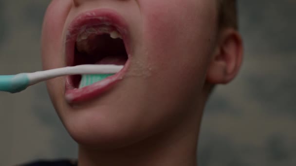 Kids Mouth Brushing Teeth Close — Stockvideo