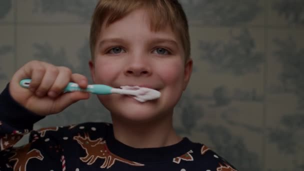 Kid Brushing Teeth Looking Camera Close — Stockvideo