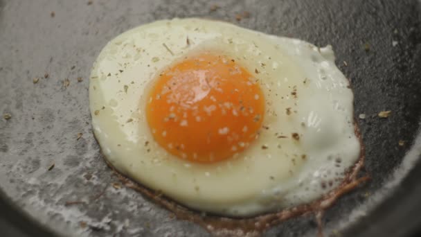 Gotowane Smażone Jajko Zabieram Gotowy Omlet — Wideo stockowe