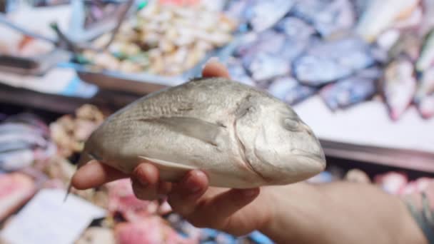 Dorado Fresh Fish Close Mano Colocando Pescado Fresco Cámara Mercado — Vídeo de stock