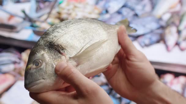 Держу Дорадо Свежая Рыба Рука Ждет Свежей Рыбы Средиземноморский Рынок — стоковое видео