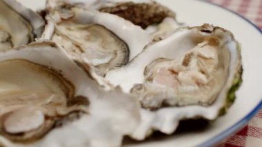 Tabaktaki taze istiridyeler. Yakın plan. 4K