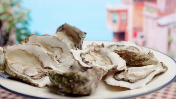 Frische Austern Auf Dem Teller Rotieren — Stockvideo