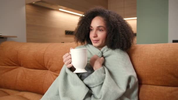 Kobieta Czuje Zimno Apartamentach Kobieta Owinięta Koc Pijąca Gorącą Herbatę — Wideo stockowe
