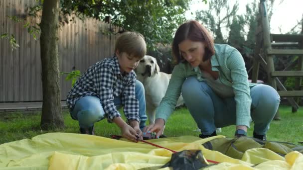 ママと息子は一緒にテントをセットする 母親が裏庭にテントを設置するのを手伝う少年 4Kについて — ストック動画