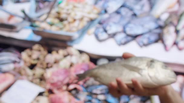 ドラド新鮮な魚を閉じます 手をカメラに新鮮な魚を配置します 地中海の魚市場 — ストック動画