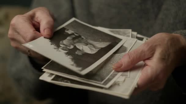 Starsze Ręce Trzymające Stare Zdjęcia Starsza Kobieta Cieszy Się Wspomnieniami — Wideo stockowe