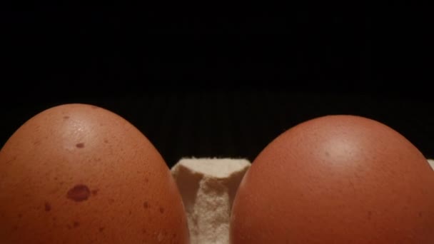 鸡蛋射击在移动宏观相机 纸箱里有很多鸡蛋 生新鲜的褐色鸡蛋 — 图库视频影像
