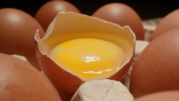 Egg Yolk Lots Eggs Shooting Moving Camera — Stock Video