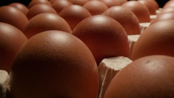 卵のドリーショットを取る手 紙容器にたくさんの卵が入っています 生の新鮮な茶色の卵 4Kについて — ストック動画
