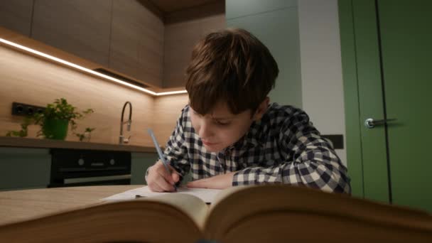 自閉症の子供は本に没頭しながら執筆に集中しています 教育と献身に対するユニークなアプローチを取り入れる — ストック動画