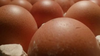 Hareket eden Makro Kamerada Yumurta Atışı. Kağıt kabın içinde çok yumurta var. Çiğ kahverengi yumurta. 4K