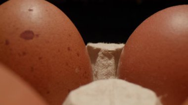 Dinamik bir etki yaratmak için hareket eden bir kamerayla yakalanan, kağıt bir kaba yerleştirilmiş taze taze kahverengi yumurtalardan oluşan makro bir çekim. Yemek, mutfak ve yemekle ilgili içerik için mükemmel..