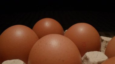 Hareket eden Makro Kamerada Yumurta Atışı. Kağıt kabın içinde çok yumurta var. Çiğ kahverengi yumurta. 4K
