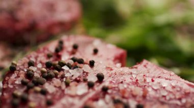 Taze yeşil otlar ve sebzelerle çevrili, tuzlanmış çiğ biftek. Barbekü, aşçılık ve gurme yemek içeriği için mükemmel.