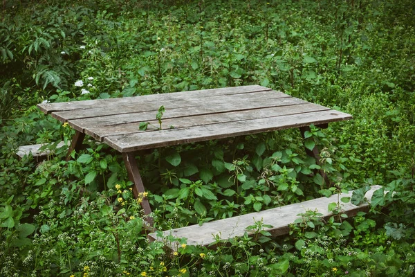 Wooden Camping Table Stuck Overgrown Grass — Stock Photo, Image